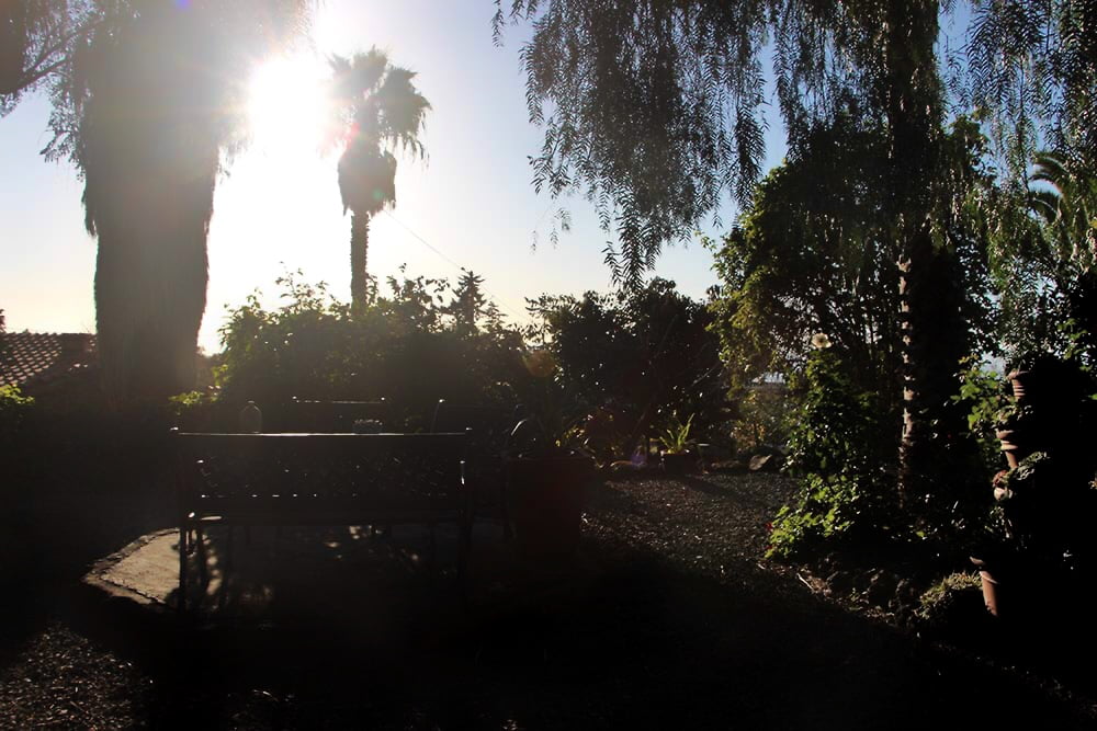 Casa Federle La Palma