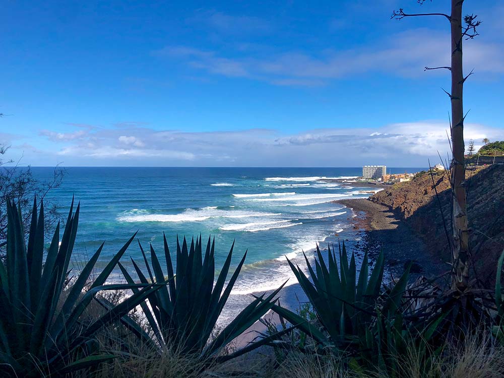 Punta del Hidalgo Teneriffa Canary Vibes