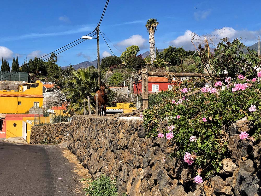 La Laguna La Palma Casa Federle