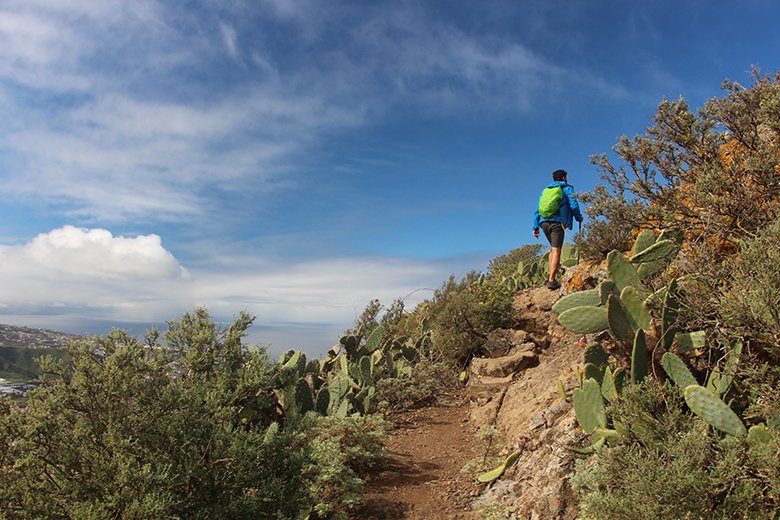 Wandern Punta del Hidalgo Teneriffa