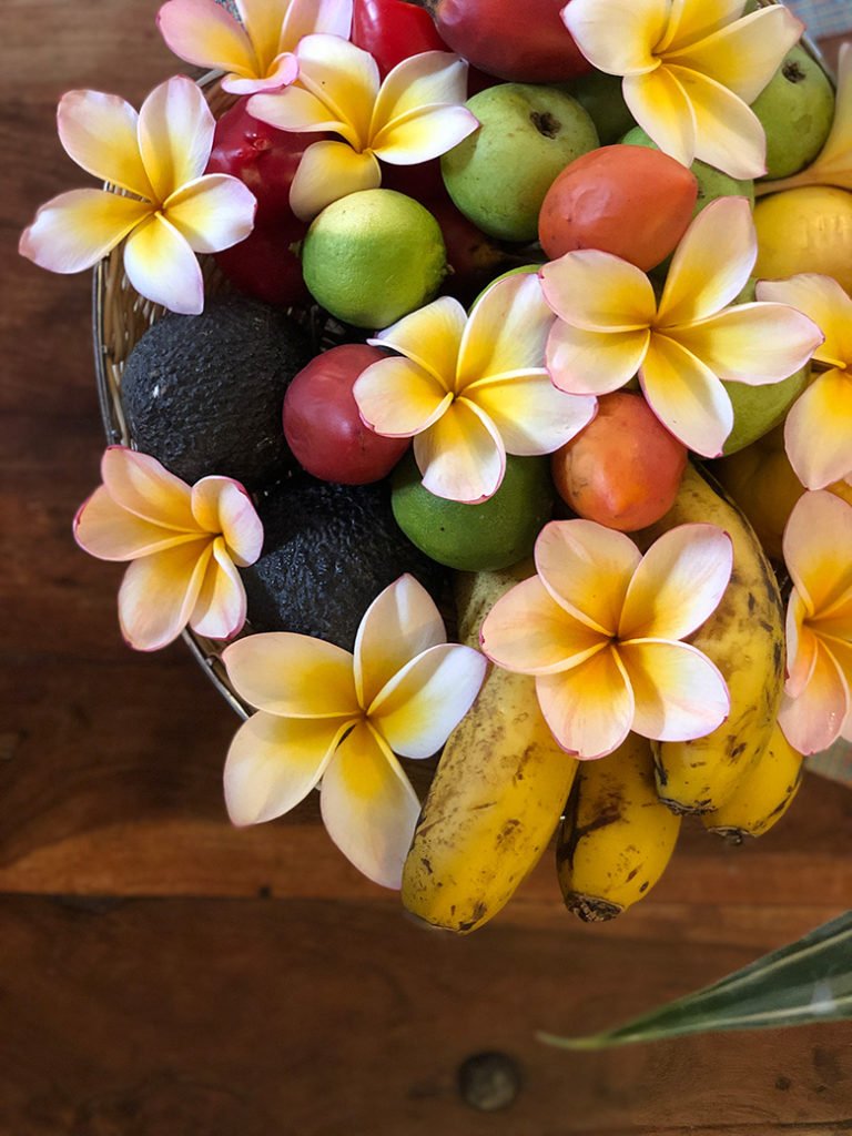 Finca el quinto korb mit Obst