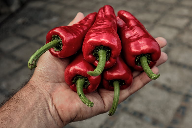 Finca el Quinto Teneriffa