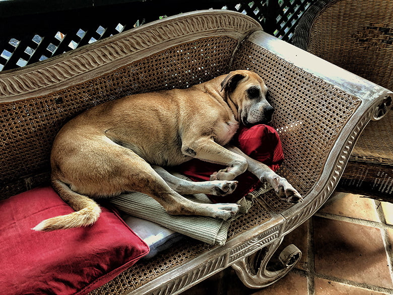 Finca el Quinto Teneriffa