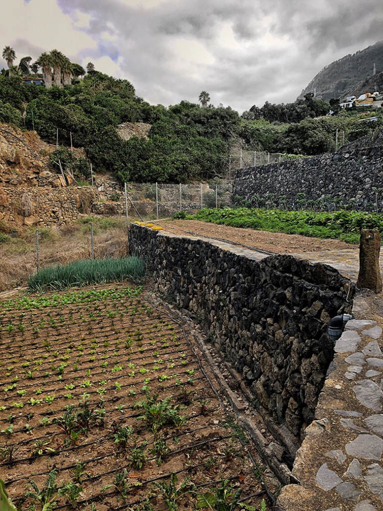 Finca el Quinto Teneriffa