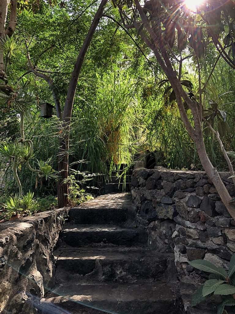 Finca el Quinto Teneriffa