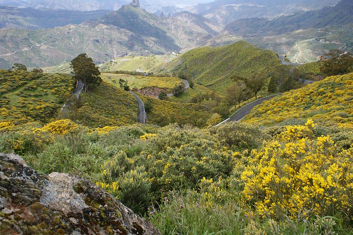 Landesinnere von Gran Canaria