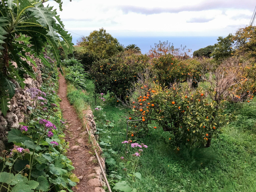 La Palma Wanderweg