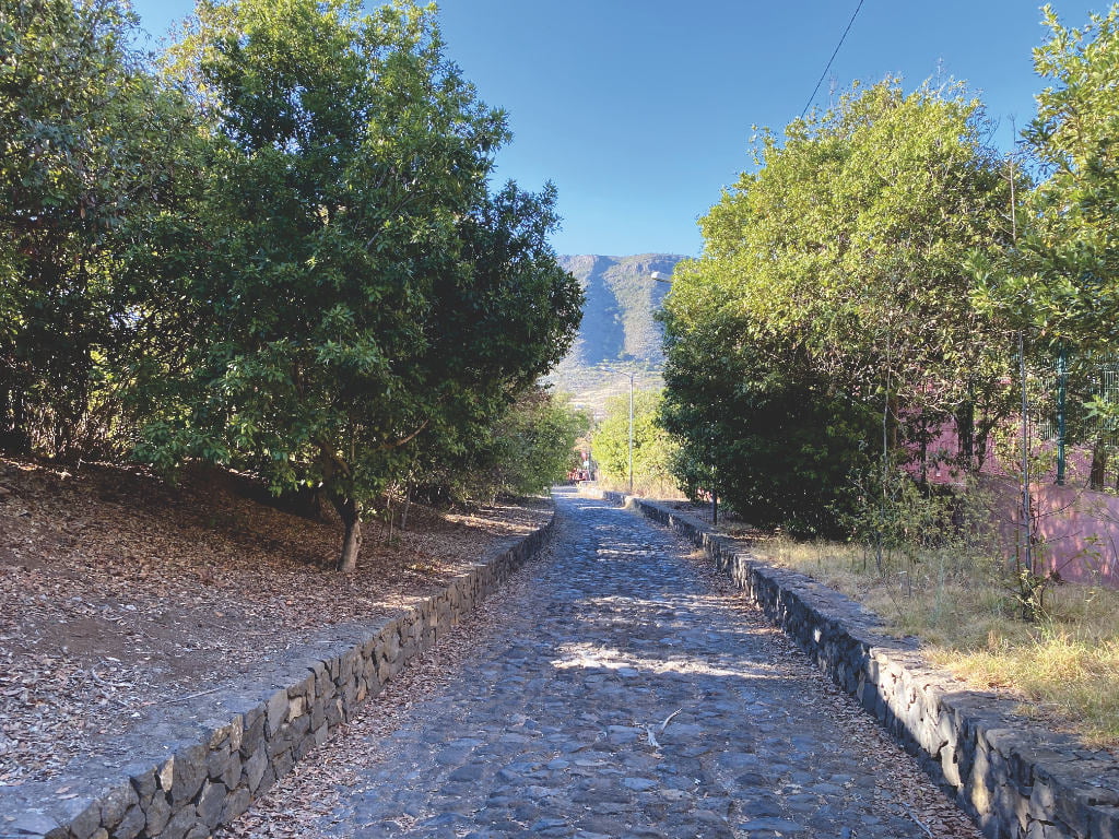 Camino de Los Laureles in Tegueste Teneriffa