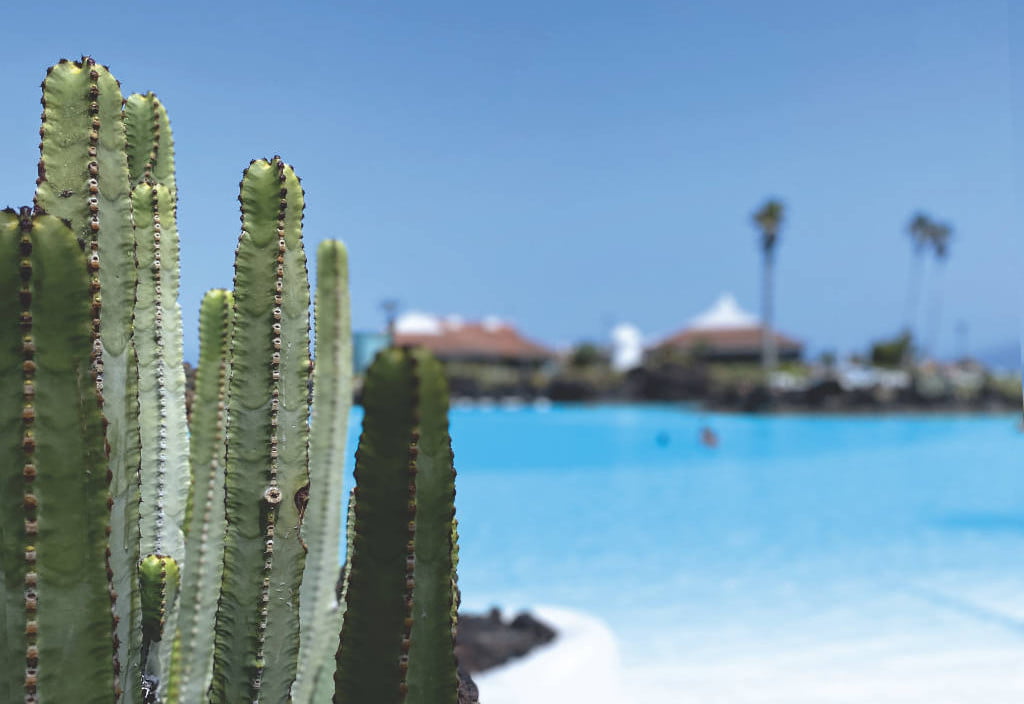 Lago Martiánez Puerto De la Cruz Teneriffa