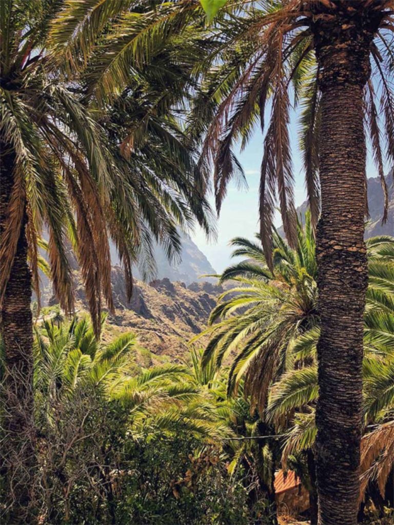 Masca Schlucht Teneriffa