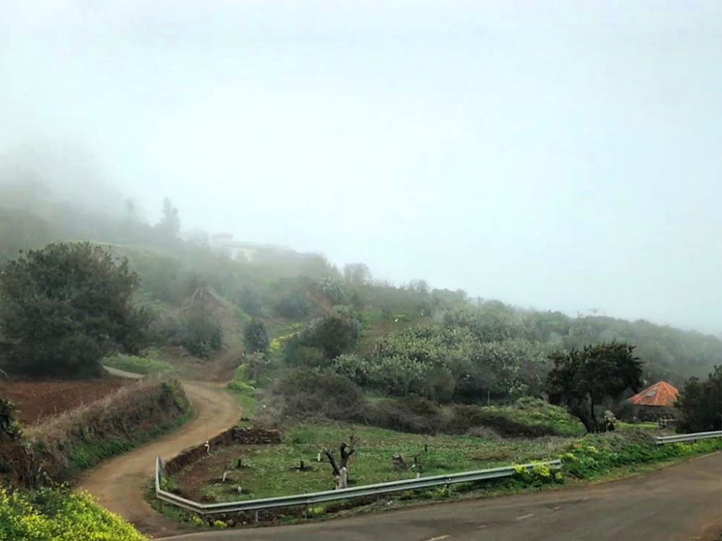 Nebel auf Teneriffa