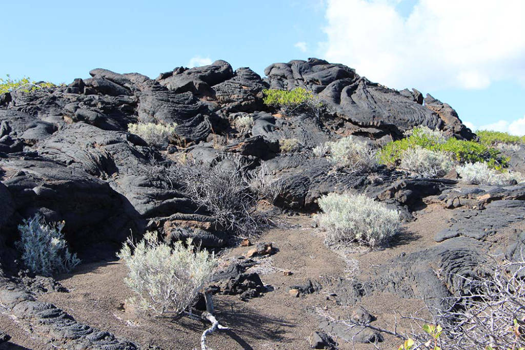 Vulkanlandschaft auf El Hierro