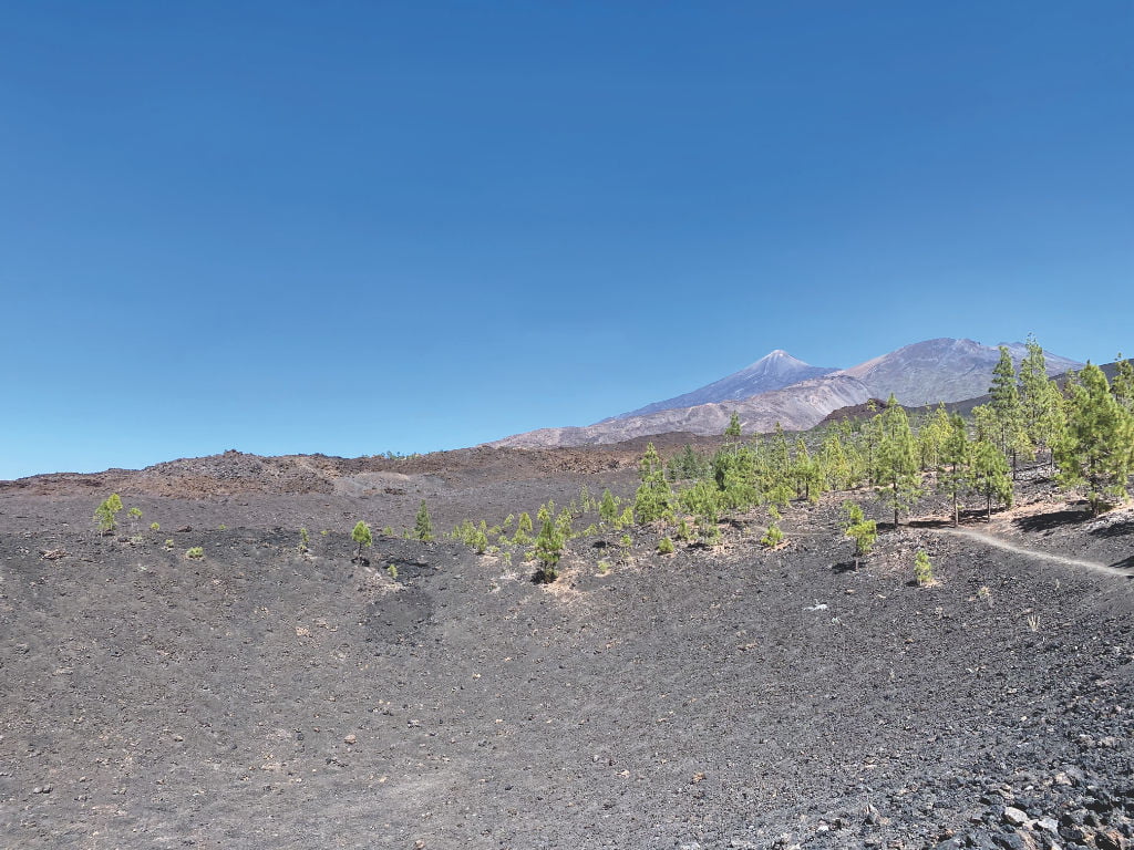 Pico Viejo Teneriffa