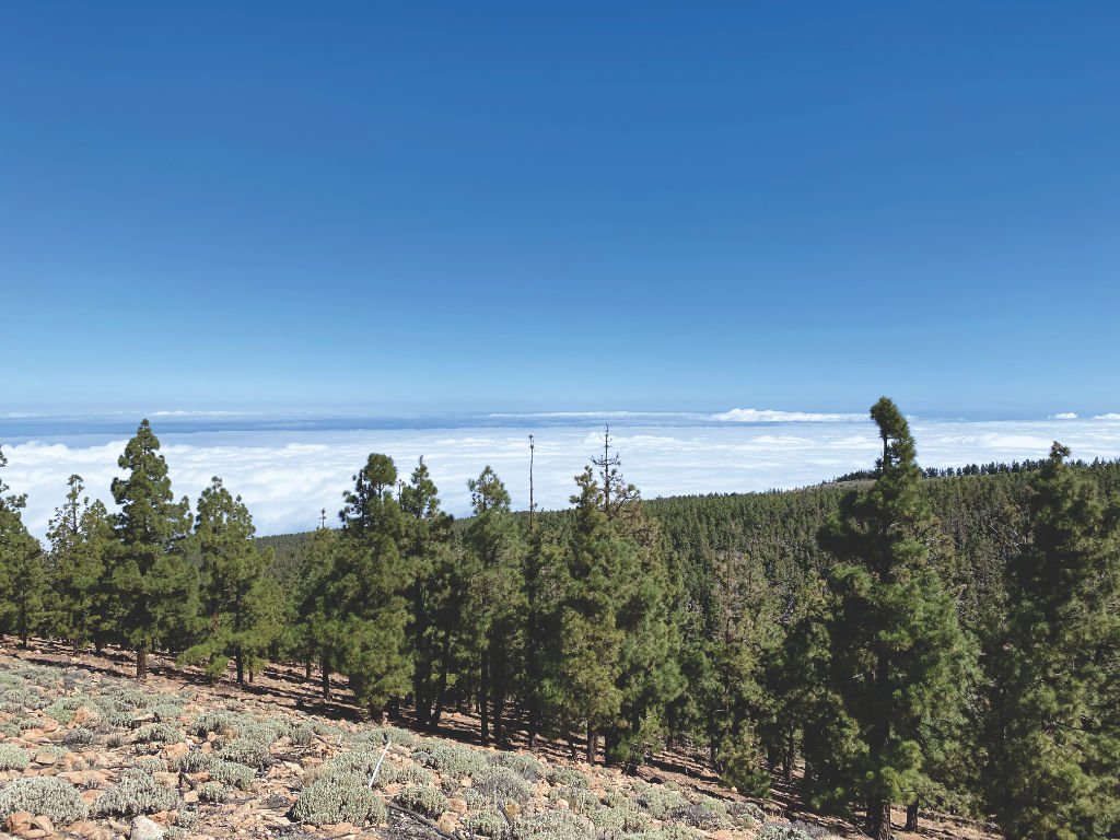 Wolkenmeer Teneriffa