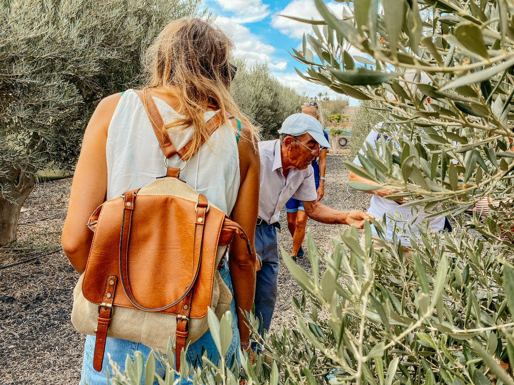 Bauer Francisco aus Fuerteventura zeigt seine Olivenbäume